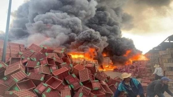 مراكش : حريق مُهول يأتي على سوق الجملة للخضر و الفواكه و يُخلف خسائر مادية جسيمة + صور