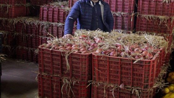 تداعيات جلية لقرار المغرب بتعليق تصدير البصل والبطاطس إلى الأسواق الإفريقية