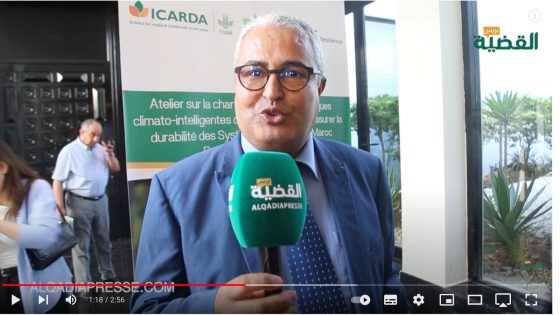 أهمية التربة في الأمن الغذائي