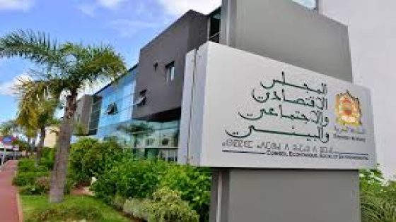 المجلس الاقتصادي والاجتماعي والبيئي يدعو إلى بلورة استراتيجية وطنية لاستخدام وتطوير الذكاء الاصطناعي