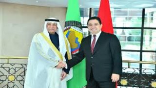 بوريطة يستقبل الأمين العام لمجلس التعاون لدول الخليج العرب