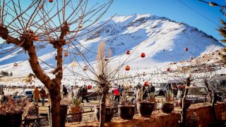 محطة أوكايمدن تستعيد بريقها مع أولى التساقطات الثلجية