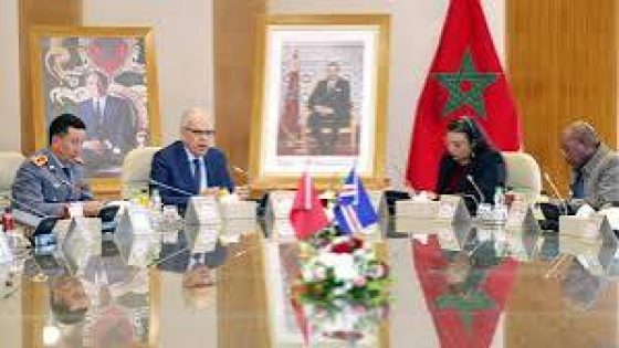 لوديي يستقبل وزيرة الدولة المكلفة بالدفاع الوطني بالرأس الأخضر