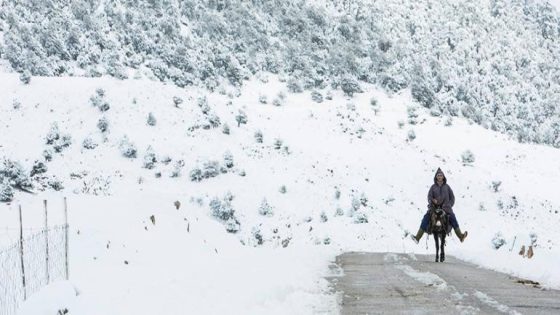 موجة البرد: إجراءات طارئة لحماية ساكنة الدواوير المعزولة بصفرو