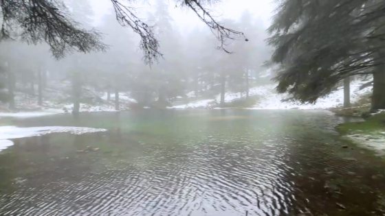 بحيرة “بئر السودان” في إقليم شفشاون تعود للحياة بعد سنوات من الجفاف