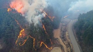 ارتفاع حصيلة ضحايا حرائق الغابات بكوريا إلى 26 قتيلا