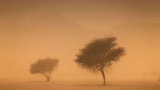 علماء يطورون أداة جديدة للتنبؤ بالعواصف الرملية