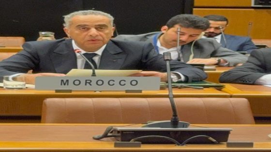 حموشي يمثل المغرب في اجتماع أمني رفيع المستوى بفيينا