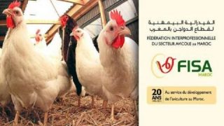 الفيدرالية البيمهنية لقطاع الدواجن تنفي وجود صادرات مغربية إلى الصين وتطمئن بشأن الوضع الصحي