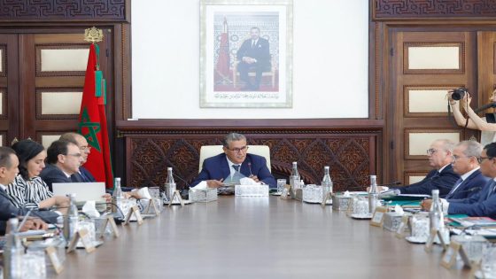 رئيس الحكومة يترأس اجتماع مجلس رقابة القرض الفلاحي للمغرب ويؤكد دعم الفلاحين وتعزيز الاستدامة المالية