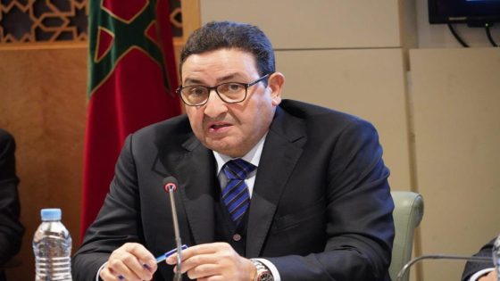 قيوح: المغرب جعل من التعاون الإفريقي محورا رئيسيا في سياسته الخارجية ونموذجه التنموي