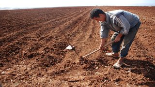 الجفاف يفرض نفسه كأولوية وطنية: أرقام جديدة وتحديات حاسمة للمغرب