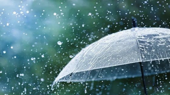 زخات رعدية قوية بعدد من مناطق المملكة اليوم الأربعاء