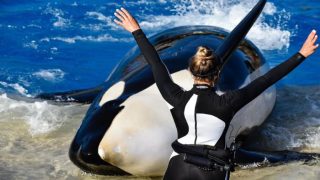 ما الحقيقة وراء قصة جيسيكا رادكليف والحوت القاتل؟