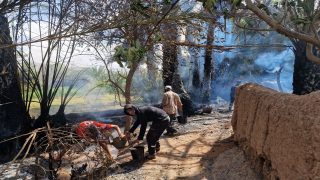 صورة: عز الدين الحنافي