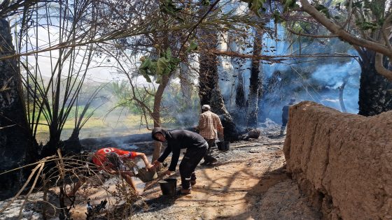 صورة: عز الدين الحنافي