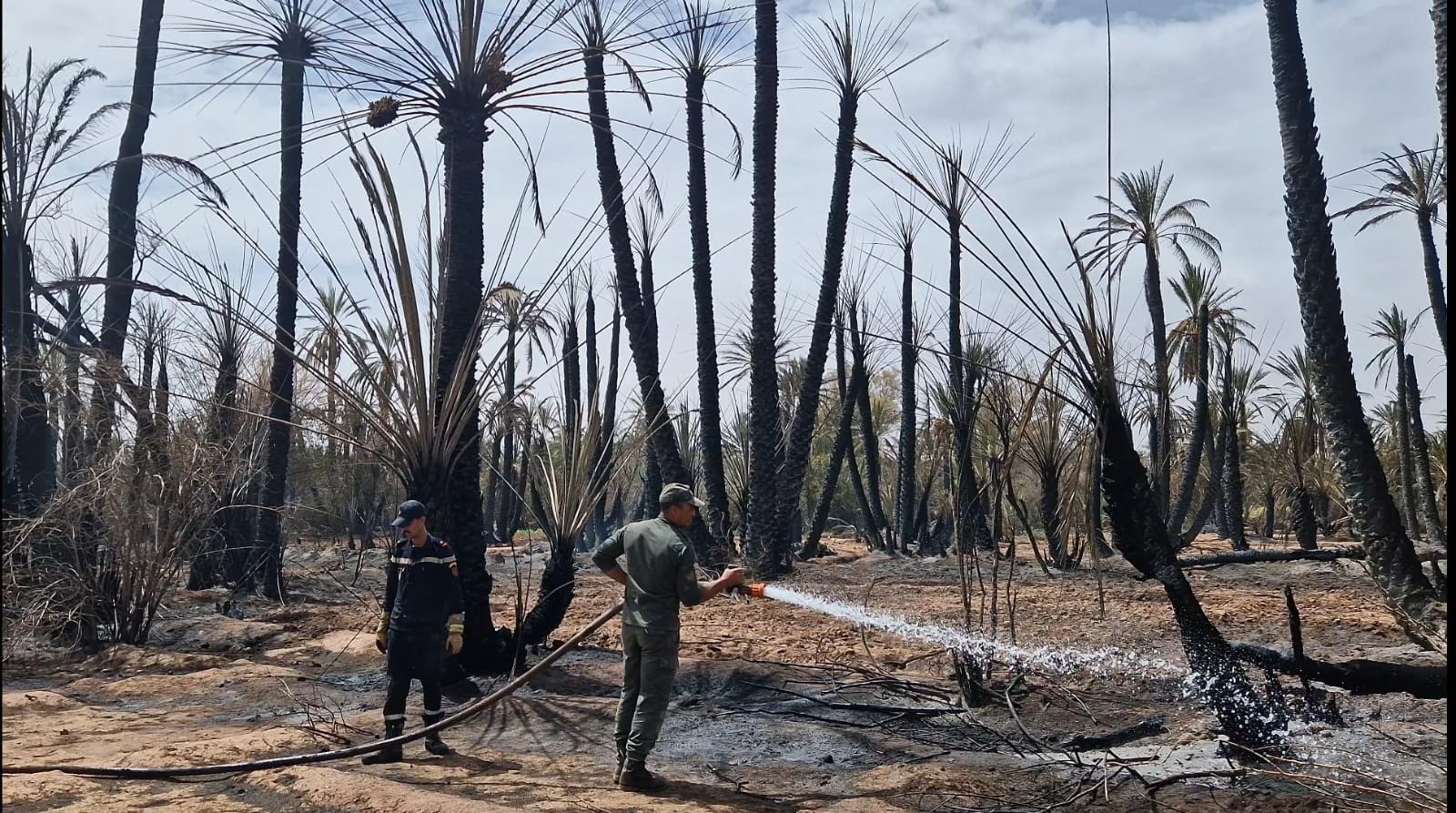 IMG 20250907 WA0095 - أول جريدة إلكترونية مغربية تتجدد على مدار الساعة