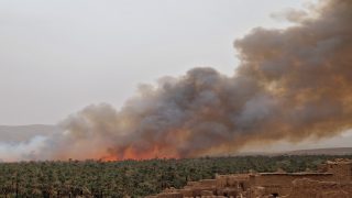 الرياح والحرائق تتسببان في خسائر جسيمة لمزارع النخيل بإقليم زاكورة