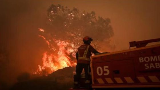 حرائق غابات جديدة تشتعل في البرتغال وإسبانيا