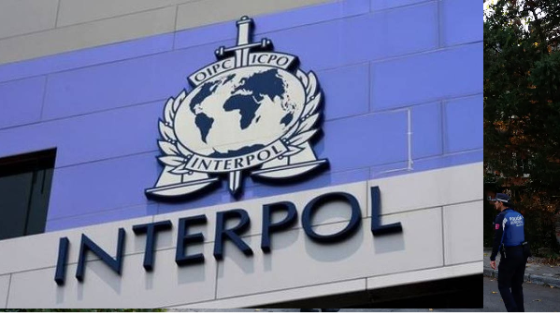 مراكش تستعد لاحتضان الدورة الـ93 للإنتربول.. المغرب يرسخ مكانته كفاعل محوري في الأمن الدولي