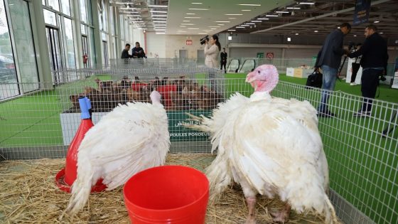 بمشاركة أزيد من 450 عارضاً من داخل المغرب وخارجه.. انطلاق الدورة السادسة والعشرين لمعرض “دواجن 2025” بمدينة الجديدة