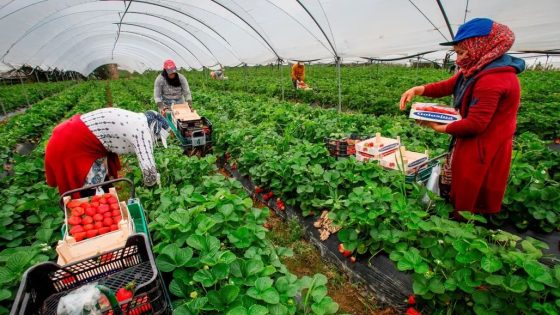 مقتل عاملة مغربية تكشف وجع الصمت والمعاناة في هويلفا…مأساة جديدة في حقول الفراولة