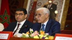 الطالبي العلمي: المناصفة والمساواة مسار دستوري يتطلب تغيير العقليات وترسيخ ثقافة الإنصاف