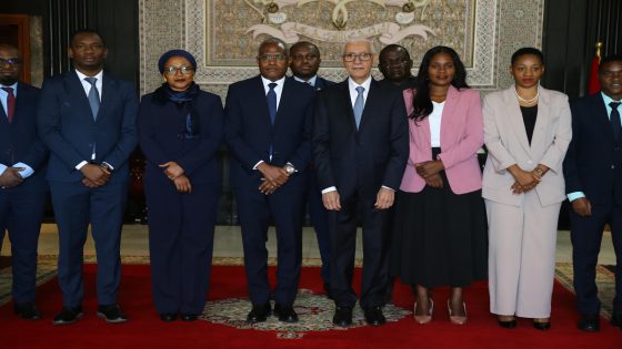 التعاون البرلماني واحترام وحدة وسيادة الدول في صلب مباحثات رئيس مجلس النواب ووفد برلماني من تنزانيا