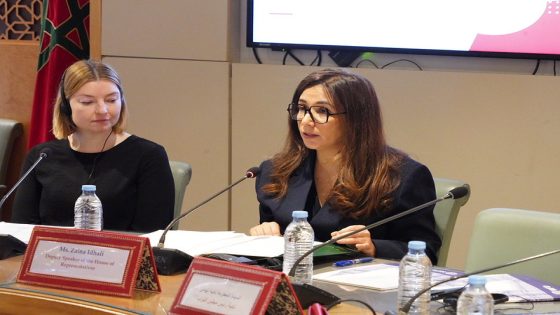 تعزيز المشاركة السياسية للشباب.. مجلس النواب يطرح مقاربة مندمجة لتقوية الانخراط الديمقراطي