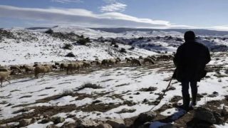 توقعات أحول الطقس ليوم الخميس