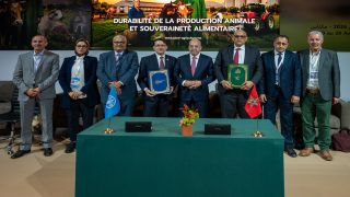 المغرب والفاو يعززان حماية التراث الزراعي عبر برنامج وطني جديد بمكناس