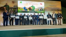 زيت الزيتون المغربي يعزز ريادته: تتويج 12 منتجاً في المباراة الوطنية لجودة الزيت بمكناس